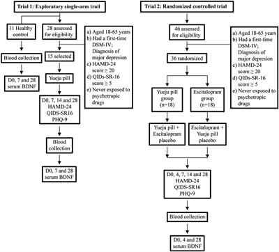 Early Enhancement of Neuroplasticity Index, the Ratio of Serum Brain-Derived Neurotrophic Factor Level to HAMD-24 Score, in Predicting the Long-Term Antidepressant Efficacy